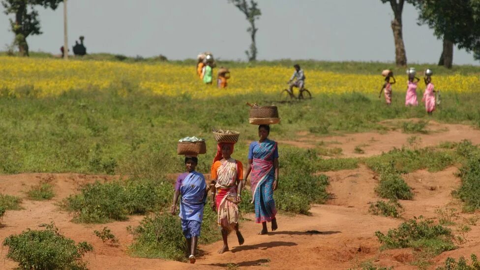 Village head. Виллидж пипл. Indian Village Northern Plain. Igbo Village. Деревня Индия картинки 5-й класс история.