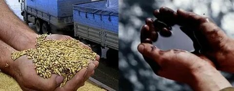 Зерно нефть