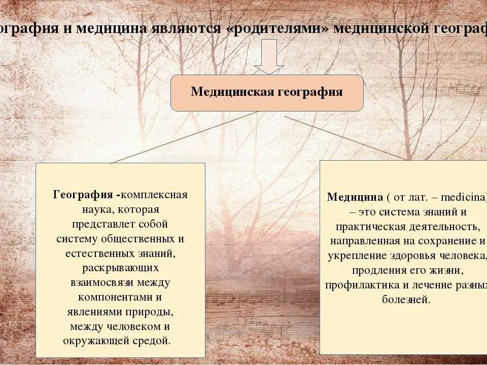 Что изучает медицинская география. Что изучает медицинская география. Структура медицинской географии. Что изучает медицинская география. Структура медицинской географии.