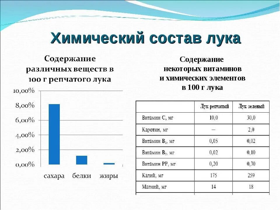 Сколько воды в луке