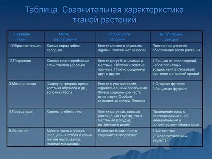 Сравнительная характеристика тканей таблица