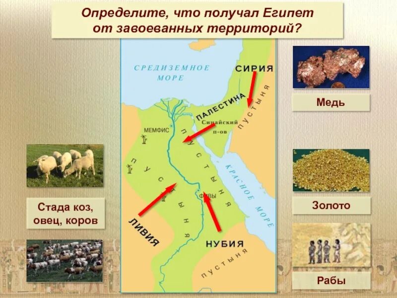 Поход фараона 5 класс кратко. Военные походы фараонов. военный поход. военные походы фараонов 5 класс кратко. военные походы фараона пиопи ii.