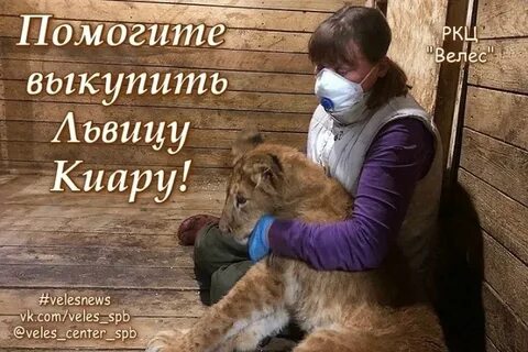 Помощь диким