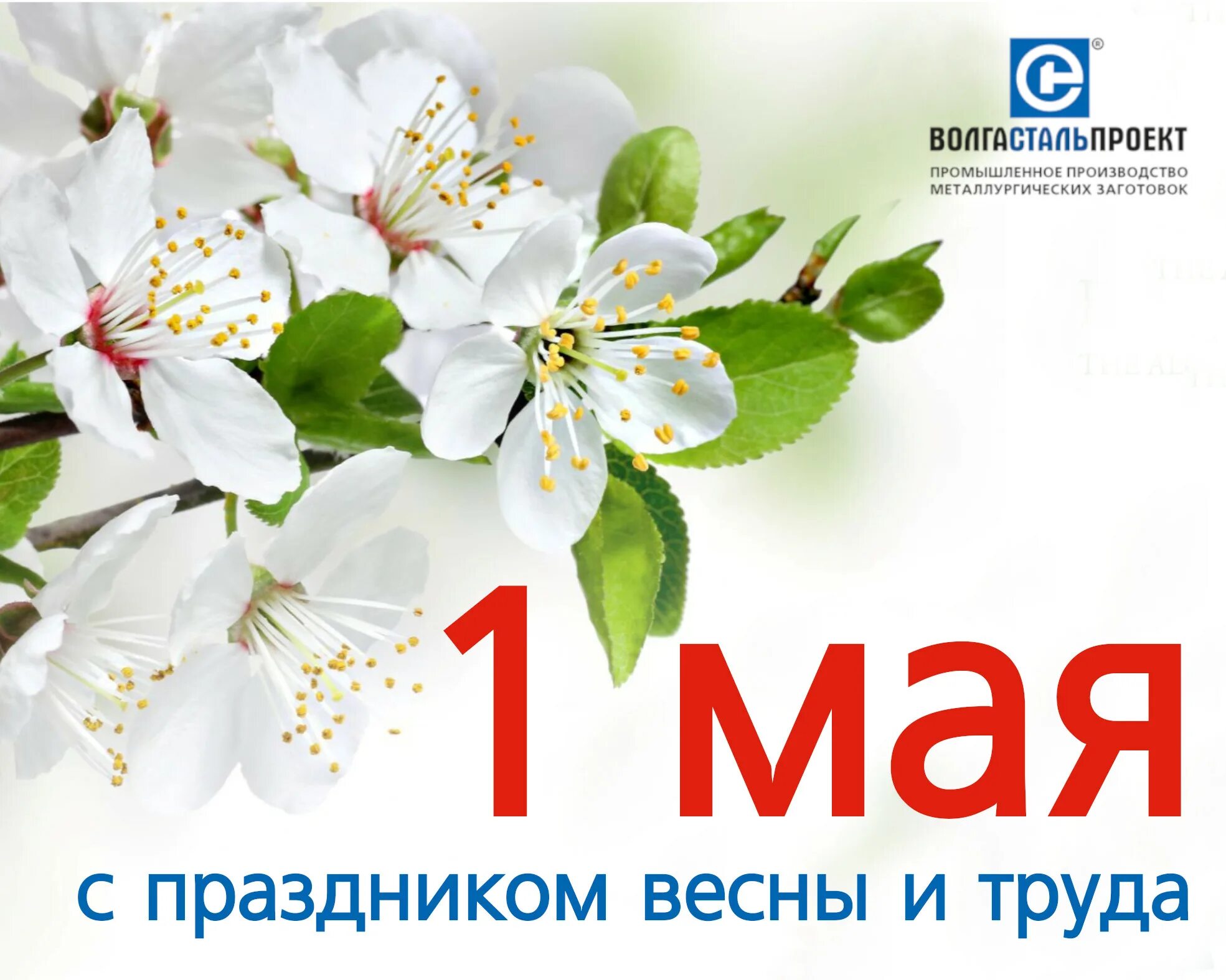 С 1 мая сотрудников. С праздником весны и труда коллеги. С праздником 1 мая коллеги. Поздравление с майскими праздниками.
