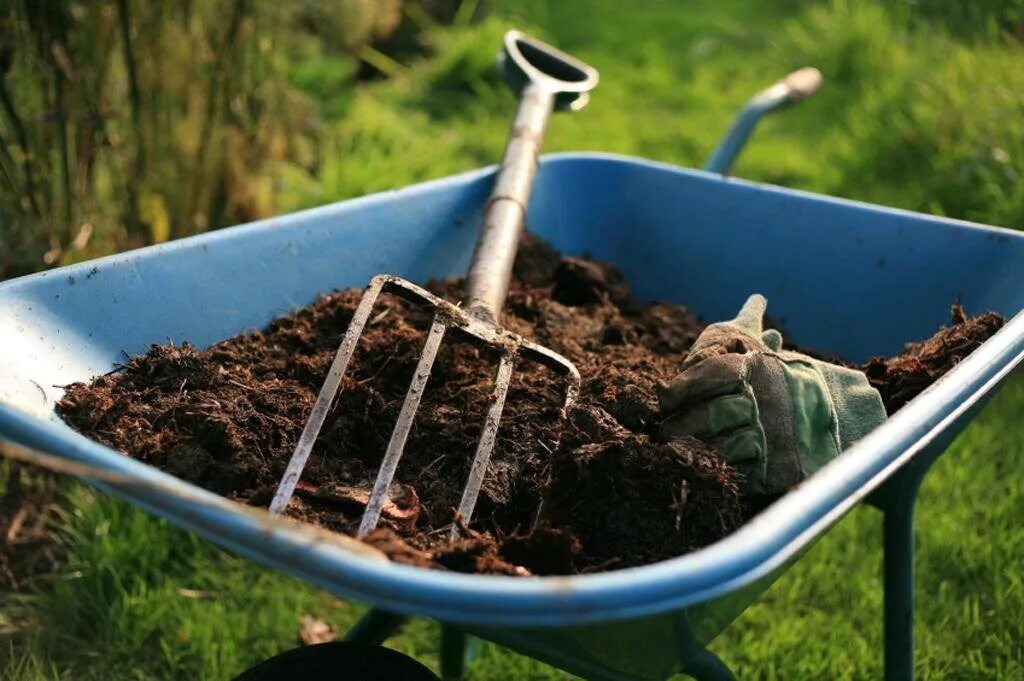 Можно ли поливать грядки. Навоз, перегной, компост. Удобрение органическое. Компост в почве. Удобрение огорода навозом.