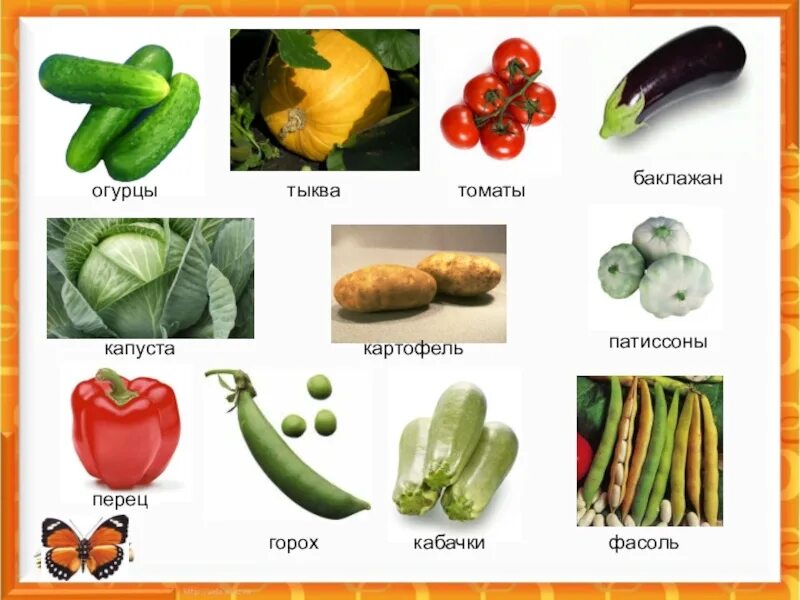Овощи с названиями для детей. Зелёный овощ название. Названия овощей в огороде для детей. Иллюстрация овощей с названиями. Овощи какое семейство