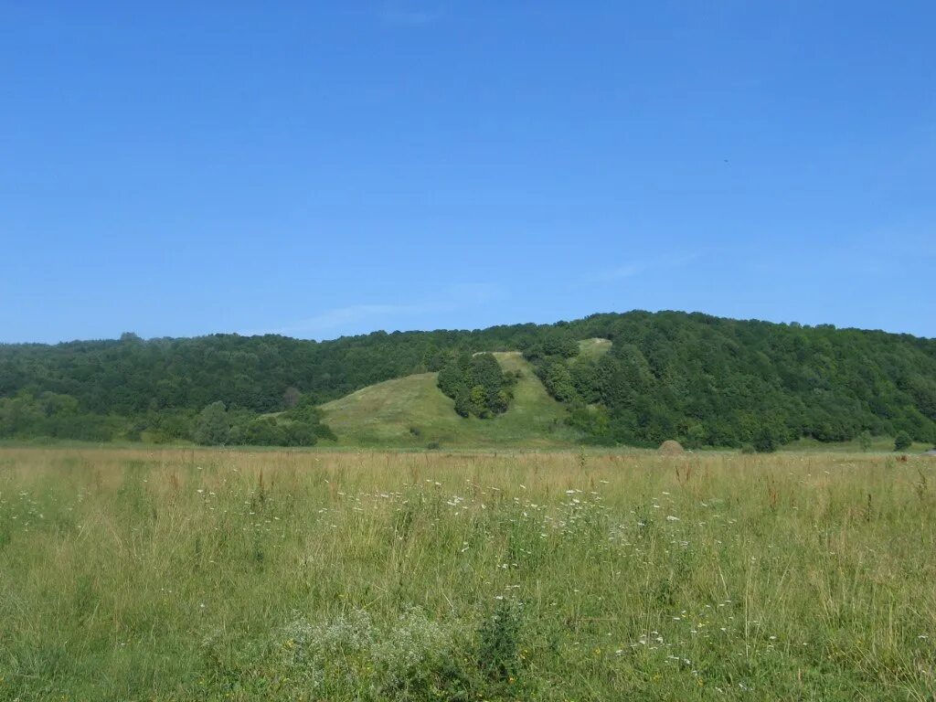 Городище курская область