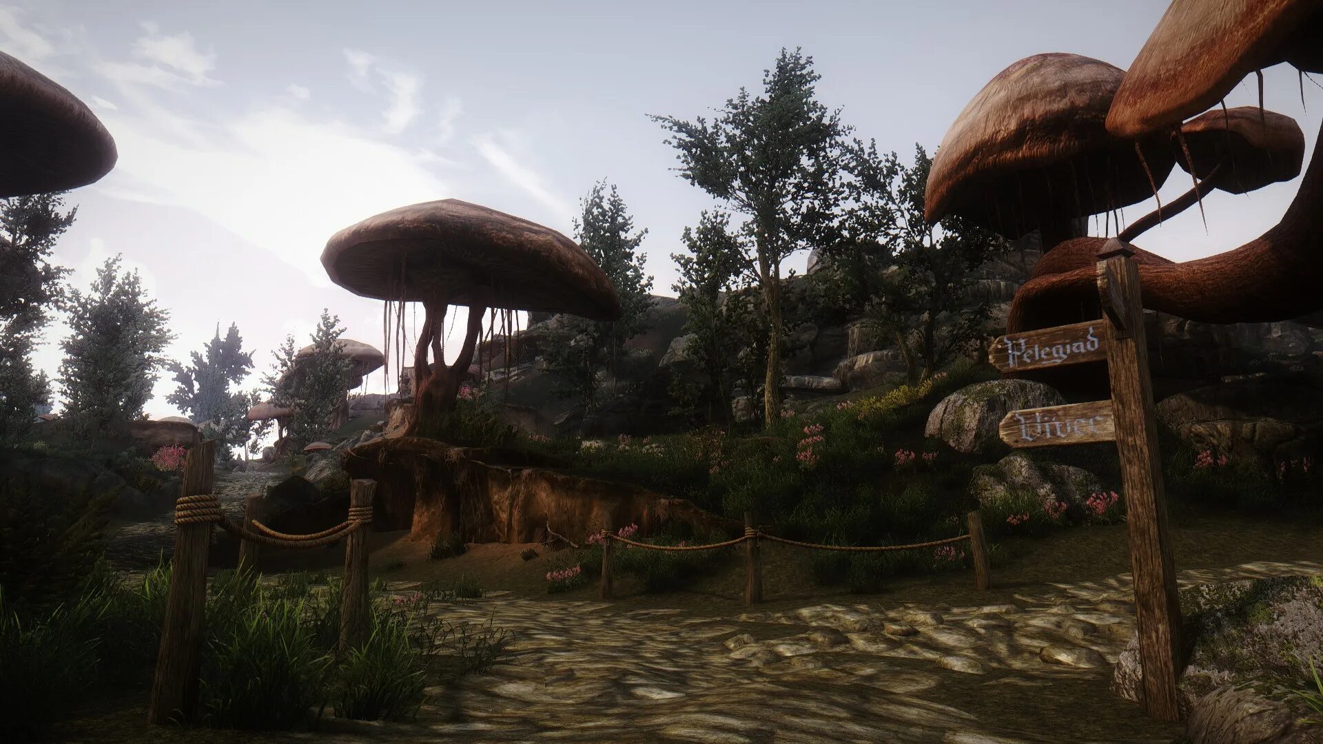 Skywind дата выхода. Аскадианские острова морровинд. скайвинд тель-арун. skywind 2025. the elder scrolls: skywind.