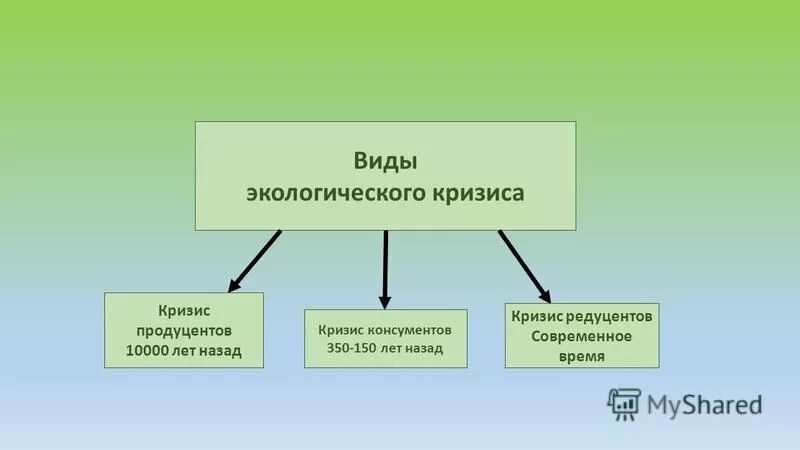 типы экологических кризисов