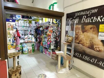 Зоомагазин кот