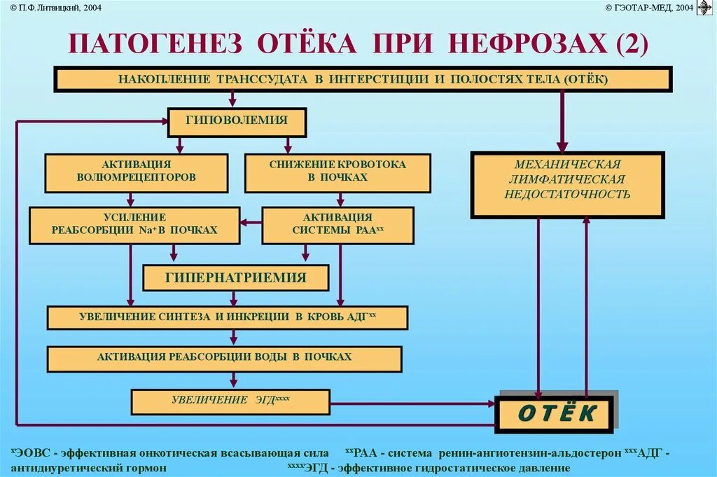 Отеки при хсн. Патогенез почечных отеков схема. Патогенез отеков при почечной недостаточности. Патогенез основных видов отека. Патогенез развития отеков.