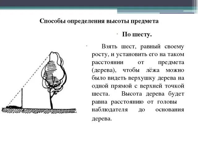 Определение высоты предмета геометрия. Измерение высоты предмета. Измерение высоты объекта с помощью шеста. Презентация на тему измерение высоты предмета. Определение высоты предмета по шесту.