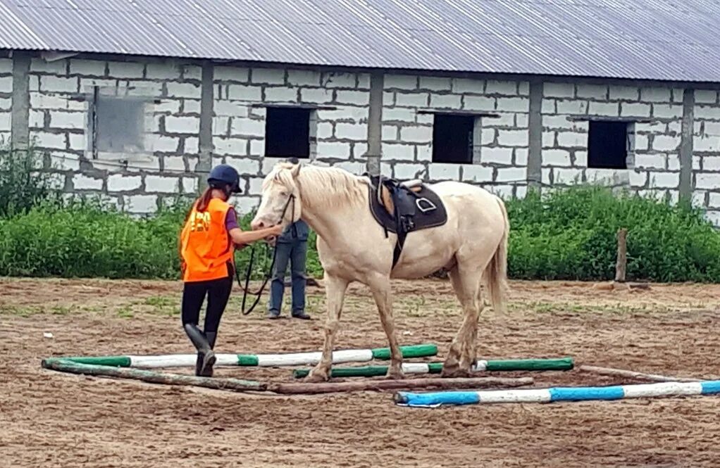 Кск ванна. КСК Исток Янино. КСК Исток СПБ. КСК Исток Астрахань. Конный клуб Исток Екатеринбург.