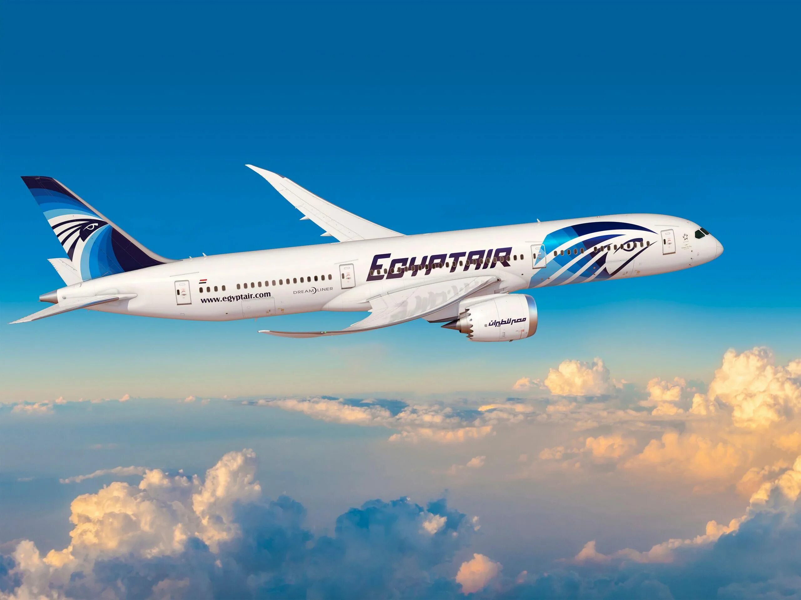 Самолеты россия летают в египет. Боинг 787-9 EGYPTAIR. Боинг 787 авиакомпании. Boeing 787-9 EGYPTAIR бизнес. B787 Egypt Air.