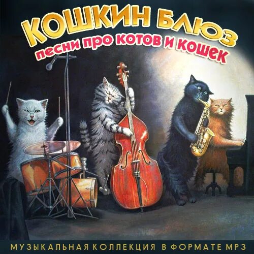 Детские песенки кошка. Музыкальные коты. Песни кошечки. Кот шансон. Кошкин блюз.