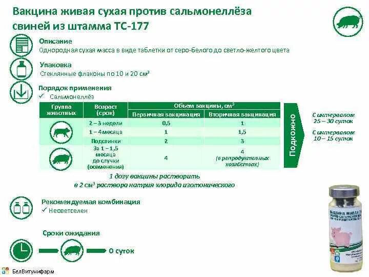 Формолвакцина против сальмонеллеза телят. Вакцина против сальмонеллеза свиней. «Вакцина против сальмонеллеза поросят» Армавир. Сыворотка от паратифа поросят. Сальмонеллез лечение у взрослых препараты