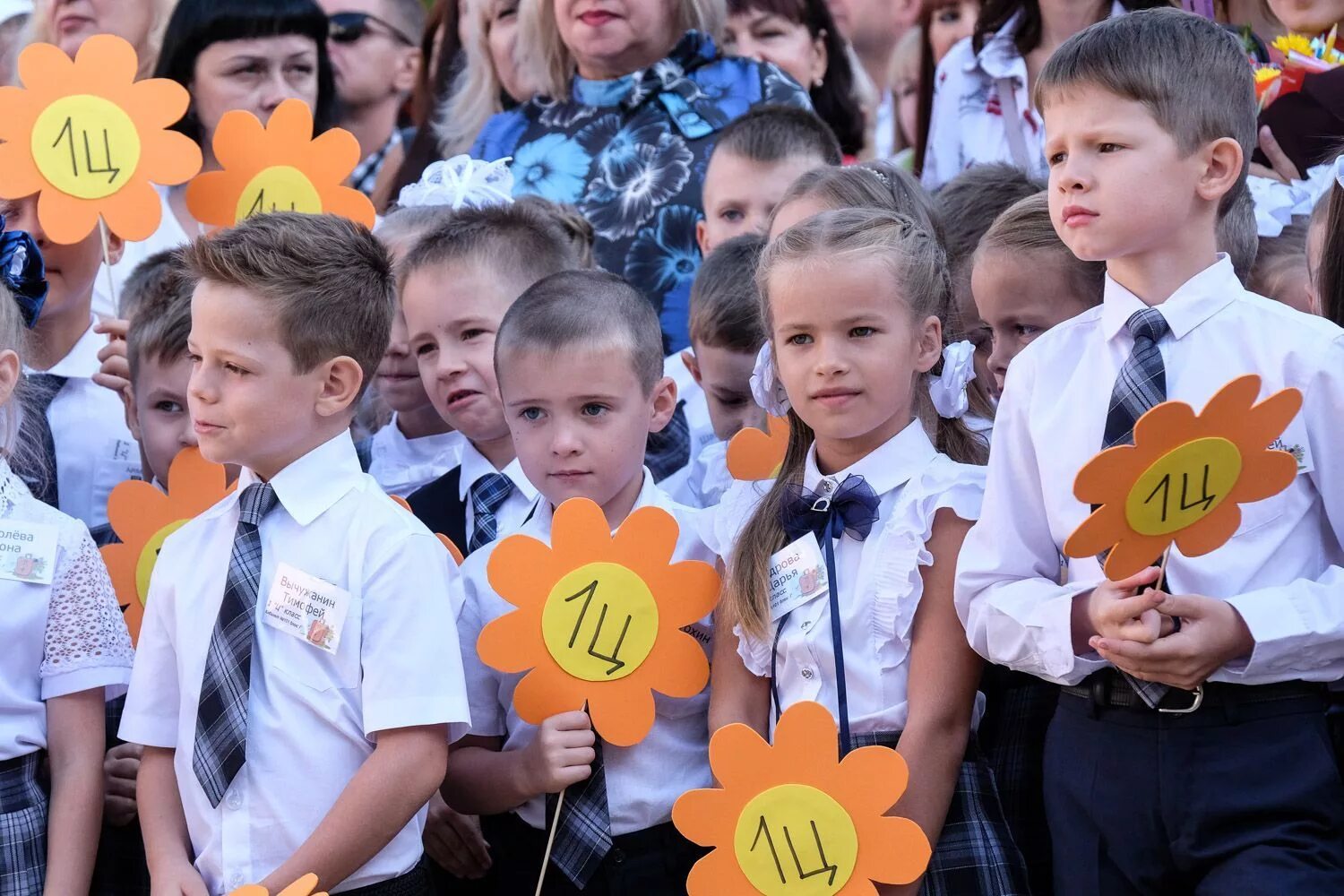 В 1 классе 22 мальчика. 33 Первых классов в Краснодаре. Школа номер 30 Краснодар. Школа в Краснодаре с 33 первыми классами. В Краснодарской школе 33 первых класса.