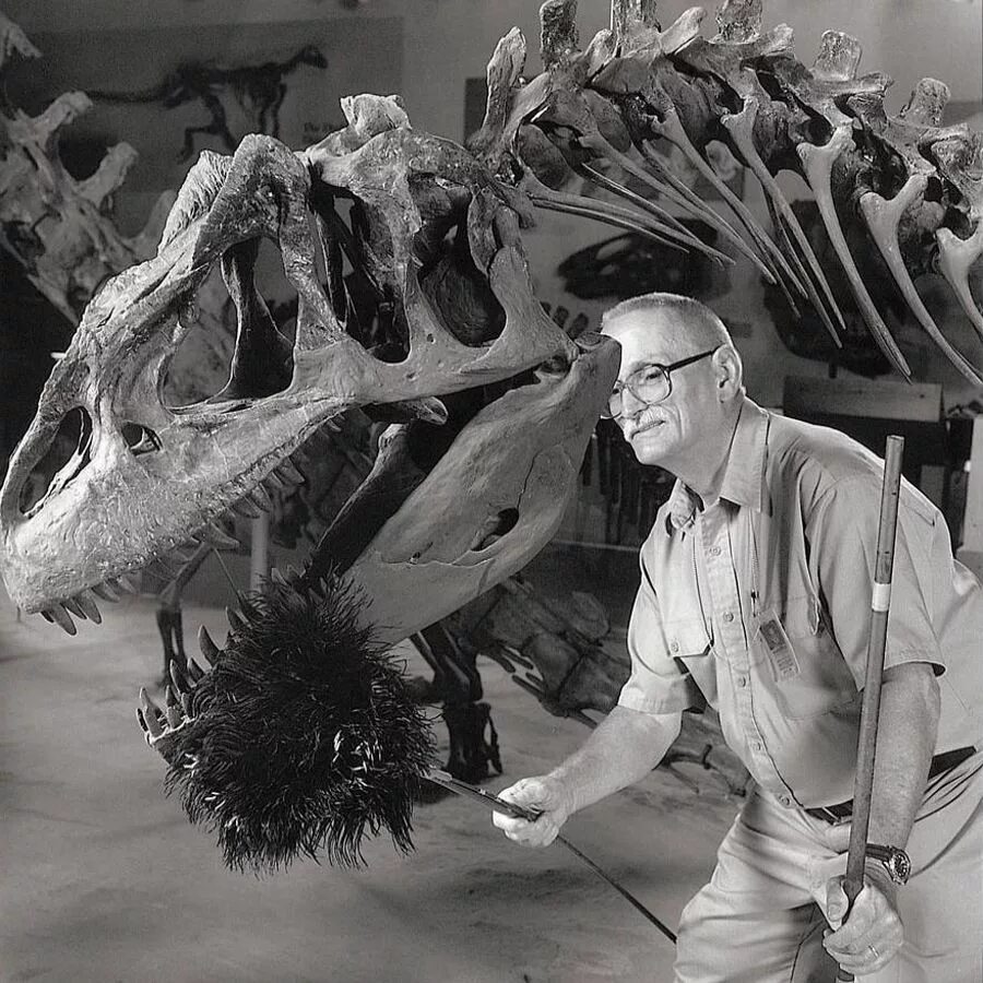 непонятные иллюстрации. очень странные работы. очень странные дела сериал. очень странные работы. очень странные дела сериал 2 сезон.