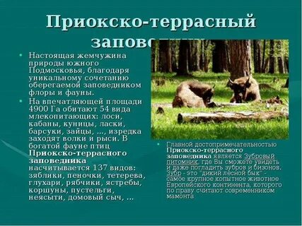 Приокско террасный заповедник в какой природной