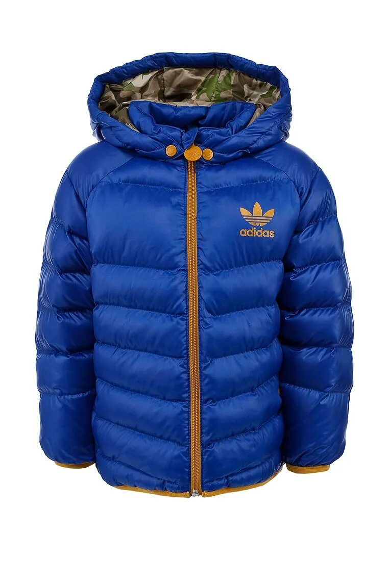 Утепленная куртка для мальчика. Adidas Originals ad093ekbzo89. Детская куртка адидас голубая. Пуховики адидас голубой для мальчиков зима. Пуховик адидас детский bq0364.