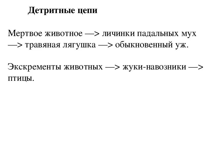 Приведите пример пищевой цепи детритного типа Презентация "Пищевые цепи" скачать бесплатно