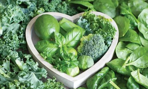 Green vegetable bed