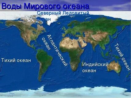 Океаны википедия сколько