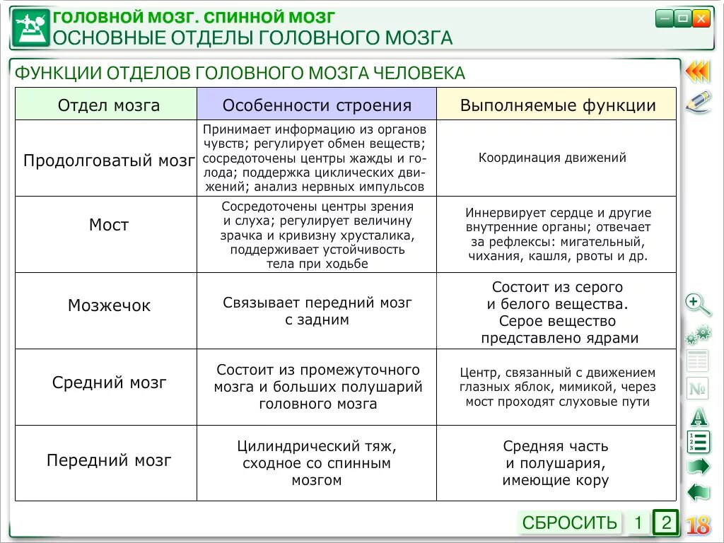 Отделы головного мозга и их функции. Строение головного мозга отделы и функции отделов таблица. Строение и функции головного мозга таблица 8 класс биология. Описание отделов головного мозга таблица. Строение и функции головного мозга таблица.