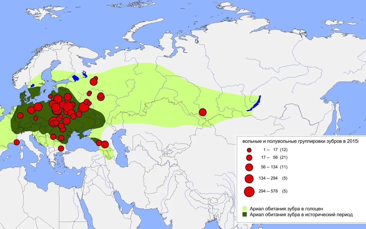 В каких районах обитаешь. ЗУБР ареал обитания. Ареал обитания зубров в России. Ареал обитания зубра на карте России. Ареал обитания Волков в России.