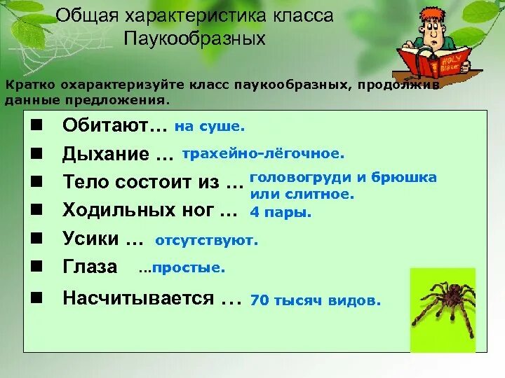 Тест паукообразные 7 класс. Класс паукообразные общая характеристика. Характеристика класса паукообразные. Характеристика паукообразных. Паукообразные кратко.