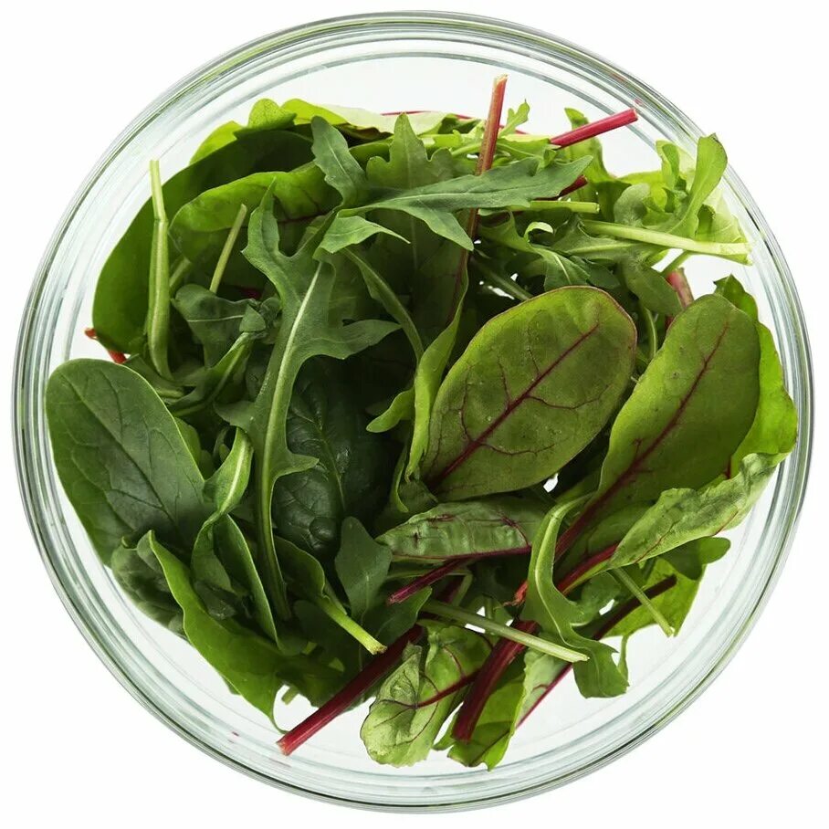 Рукола или руккола. Рукола или руккола. Какую траву добавляют в салаты. Руккола темисто. Зелень для салатов названия.