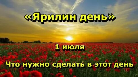 Тема все лето в 1 день