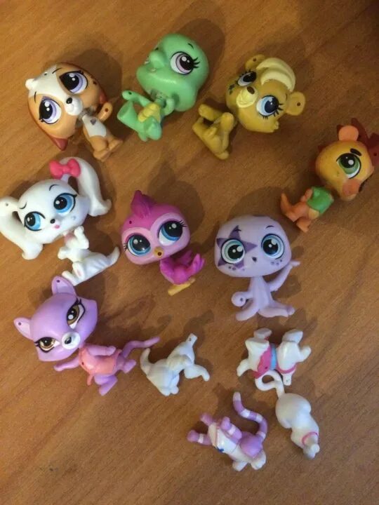 Littlest Pet shop 611. Danli шоколадные яйца Littlest Pet shop. Littlest Pet shop 326. Littlest Pet shop 1410. Littlest pet shop последняя версия