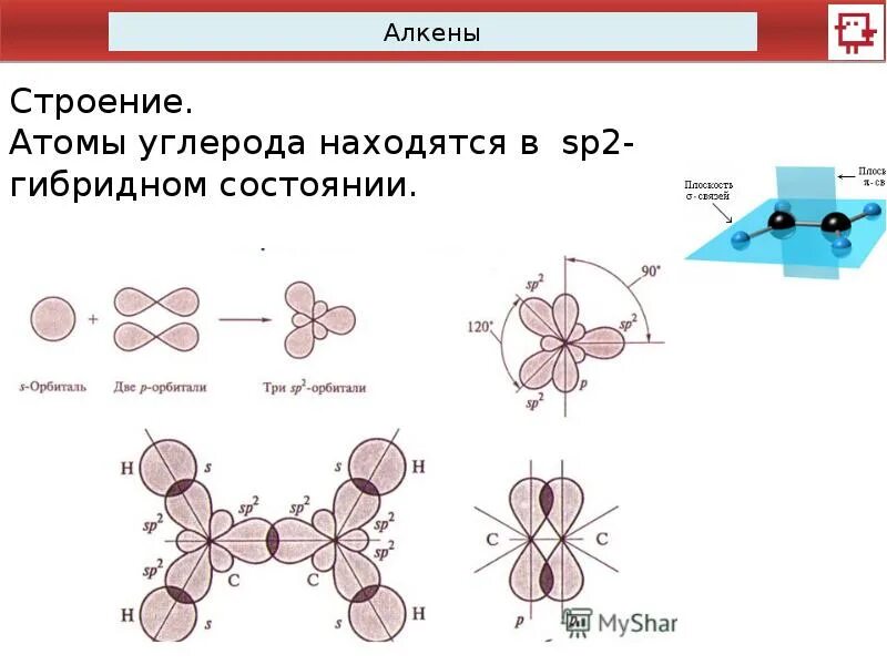 Sp2-гибридные атомы углерода. Атомы углерода в sp2-гибридном состоянии. Sp2 - гибридное состояние атома углерода в алкенах.. Углерод в sp2 гибридном состоянии.