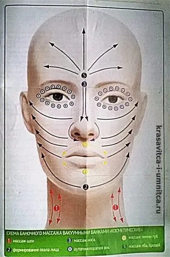 Схема массажа лица вакуумными банками. Вакуумный массаж лица схема. Массажные линии для лица банками. Массаж лица схема. Массажные линии для вакуумного