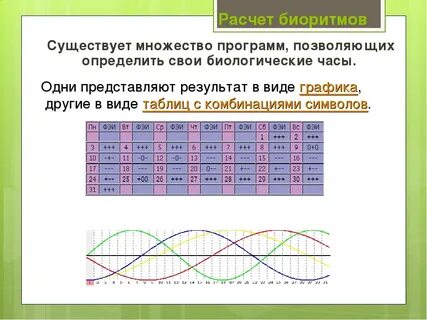 Биоритмы рассчитать по дате рождения на месяц
