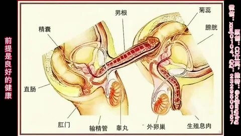 Porn pictures of sex for women in a slit.