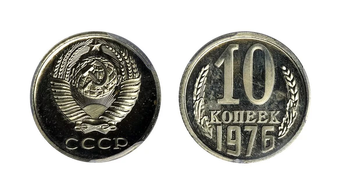 обществе ость