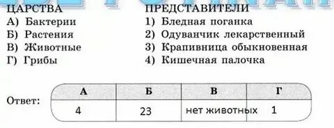 Установите соответствие между царствами и их характеристиками