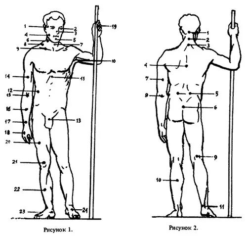 4 Точка тела человека. Болевые точки. Четвёртая точка на теле человека. Уязвимые точки на теле человека для ударов.