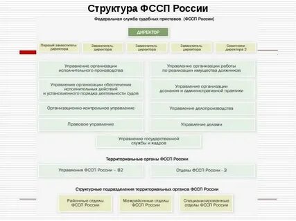 Федеральная служба исполнения судебных решений