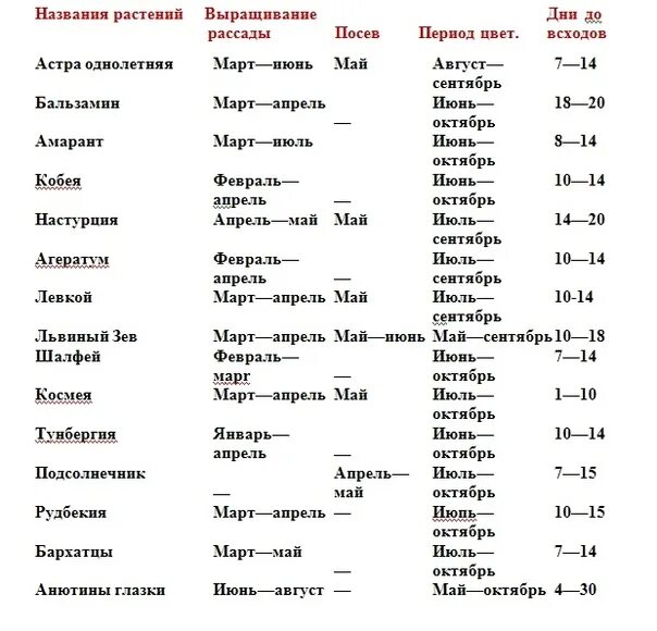 Сроки посева семян цветов на рассаду. Таблица сроков посева однолетних цветов на рассаду. таблица посадки рассады и семян в грунт. сроки посева семян цветов на рассаду таблица. посадка однолетних цветов в открытый грунт.
