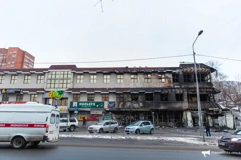 Гайдамак владивосток