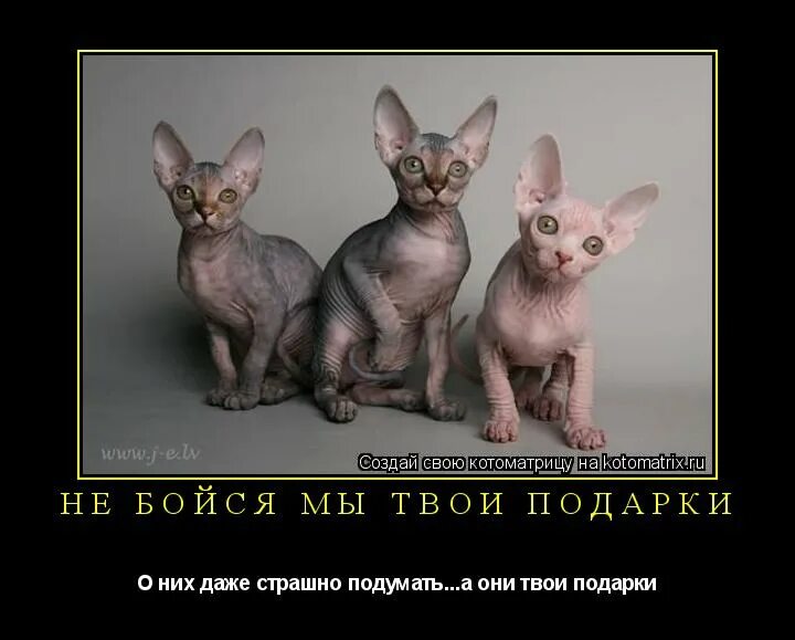 нехорошо нехорошо. борьба с самим собой картинки. демотиватор конец. даже подумать страшно. демотиватор.