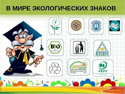 Экология для младших школьников 3 класс
