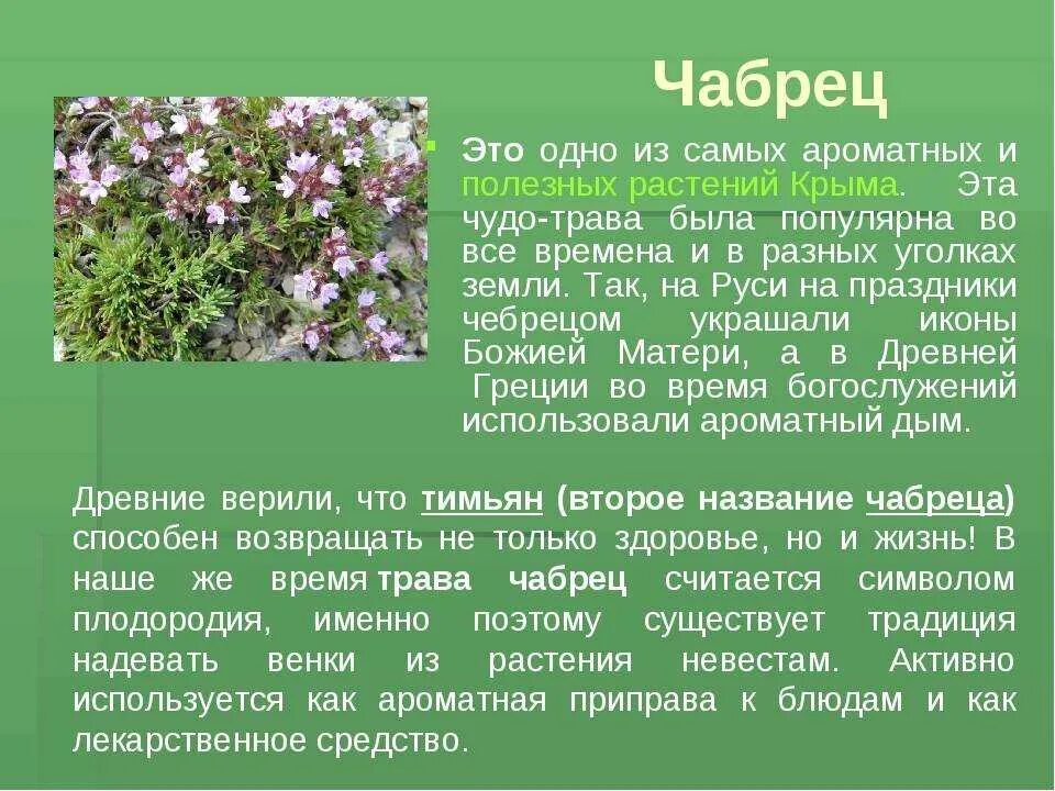 Сообщение о полезных растениях