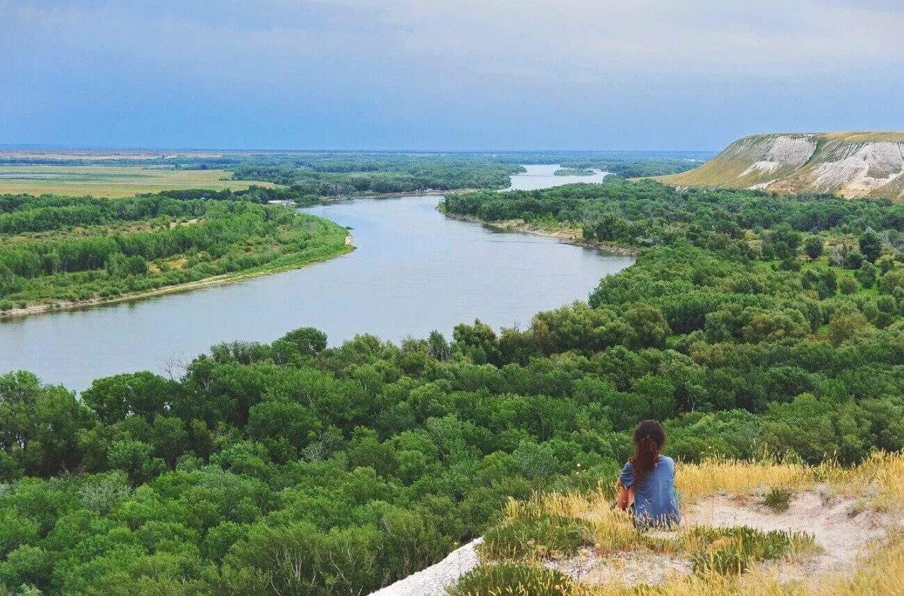 Чернышковский лес волгоградская область. Как выглядит волгоградская область. Чернышковский район волгоградской области. Город серафимович волгоградской области. Памятники волгоградской области.