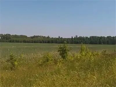 Поселок островок. Лагерь во всеволожске островки. Островки всеволожского. Беседки на острове главрыба. Островки всеволожского.