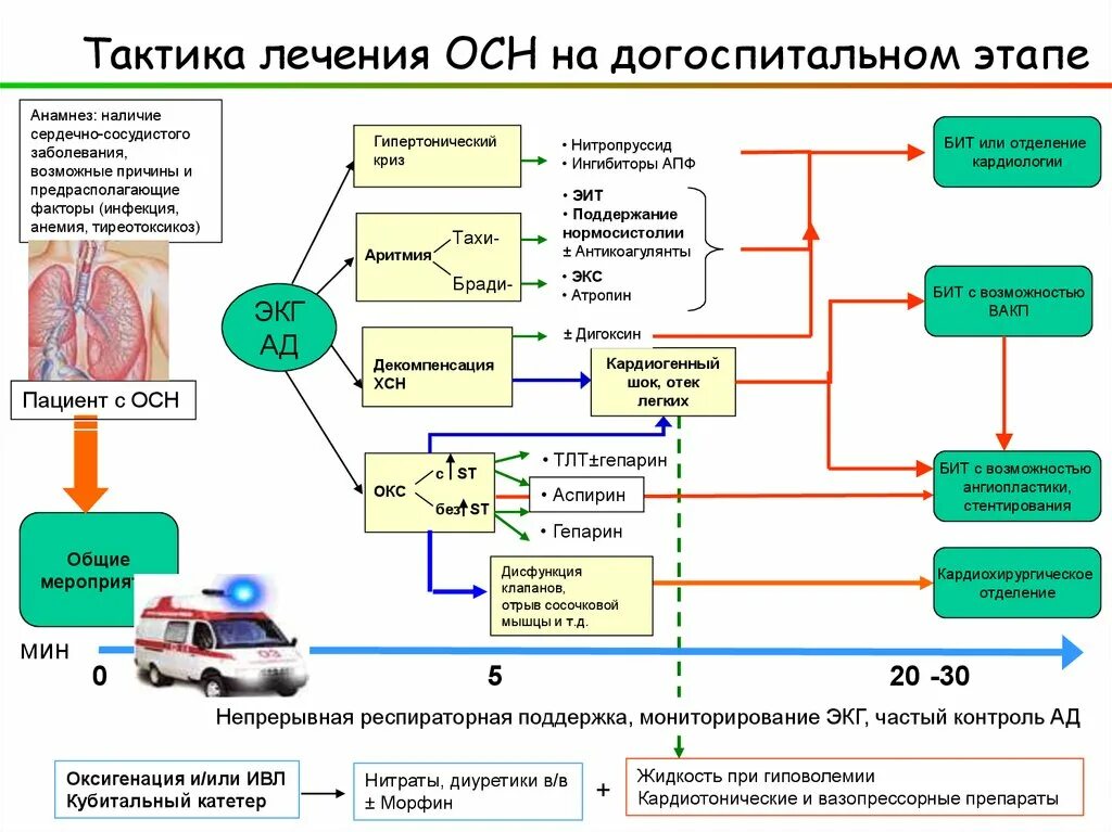 Острая сердечная недостаточность тесты с ответами. Острая сердечная недостаточность тактика фельдшера. Алгоритм действий фельдшера при острой сердечной недостаточности. Алгоритм лечения острой сердечной недостаточности. Алгоритм лечения хронической сердечной недостаточности.