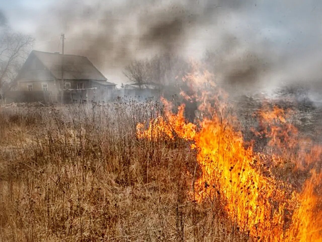 Палы сухой травы. Травяной пожар. Пожар травы. Пожар сухой травы.